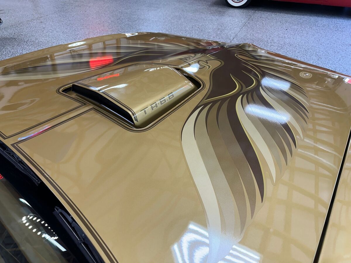 1978 Pontiac Firebird Trans AM Numbers Matching, Y88 Special Edition 6.6L V8 - photo 7