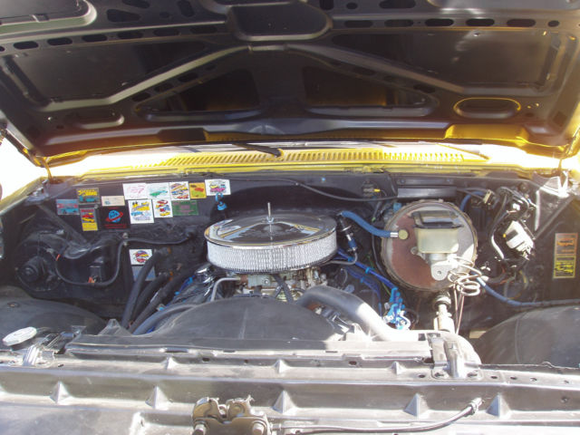 1981 Chevrolet C-10 C-10 - photo 3