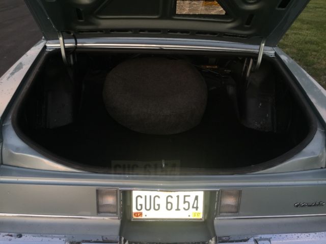 1982 Oldsmobile Eighty-Eight Royale - photo 10