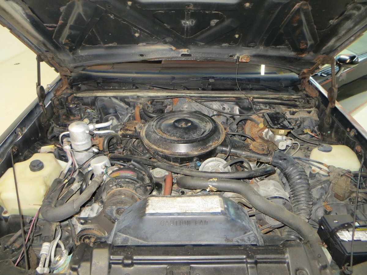 1983 Oldsmobile Cutlass Hurst/Olds 15th Anniversary - photo 10