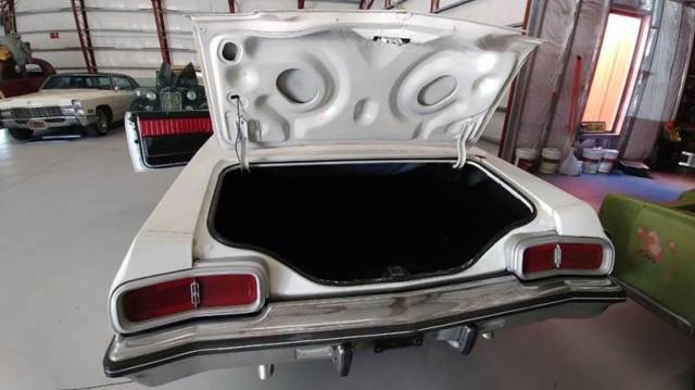 1973 Oldsmobile Eighty-Eight delta - photo 2