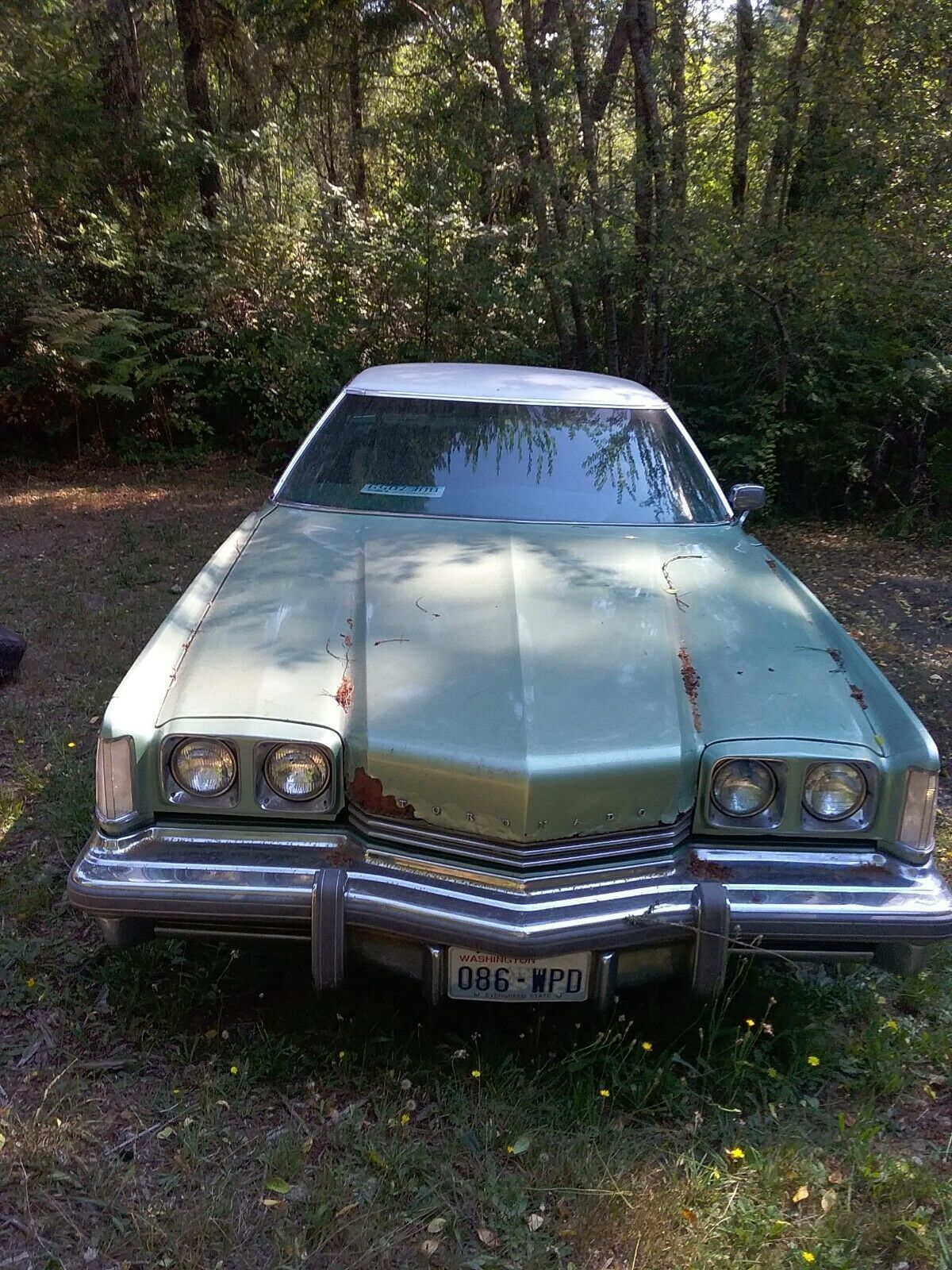 1973 Oldsmobile Toronado - photo 6