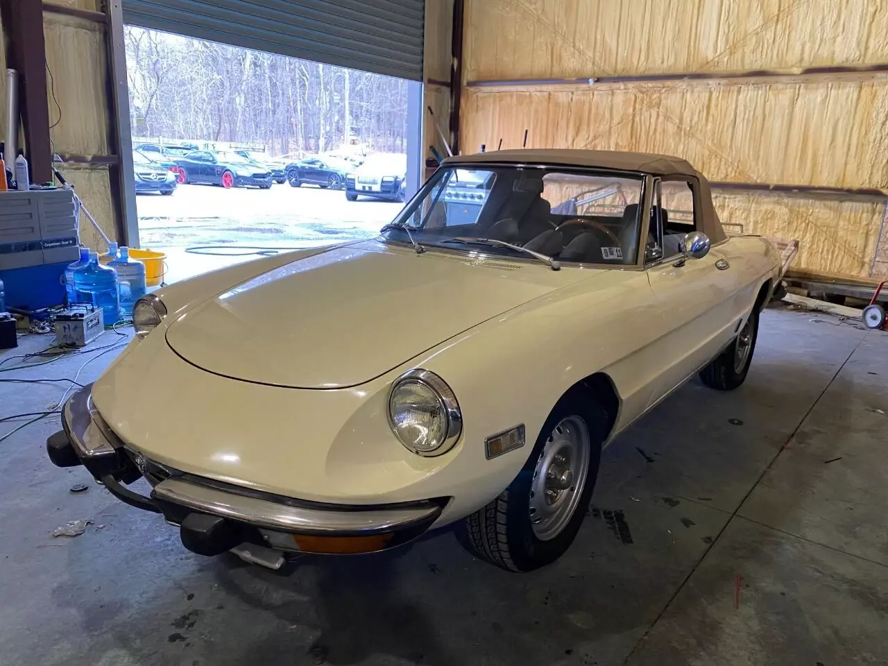 OMEGA! AFFORABLE EXOTICS FOR ALL! NO HIDDEN FEES 1973 Alfa Romeo Spider