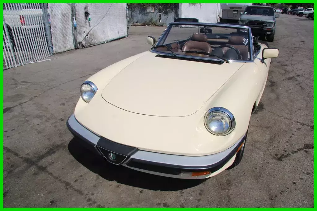 1984 Alfa Romeo Spider