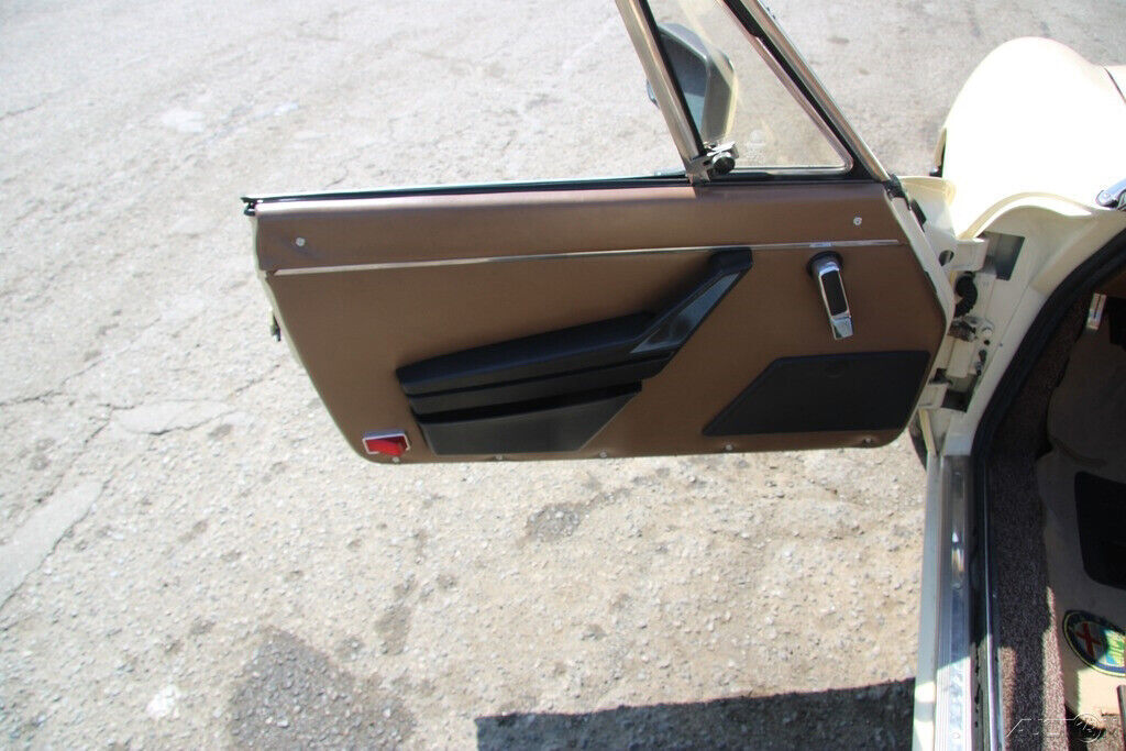1984 Alfa Romeo Spider - photo 11