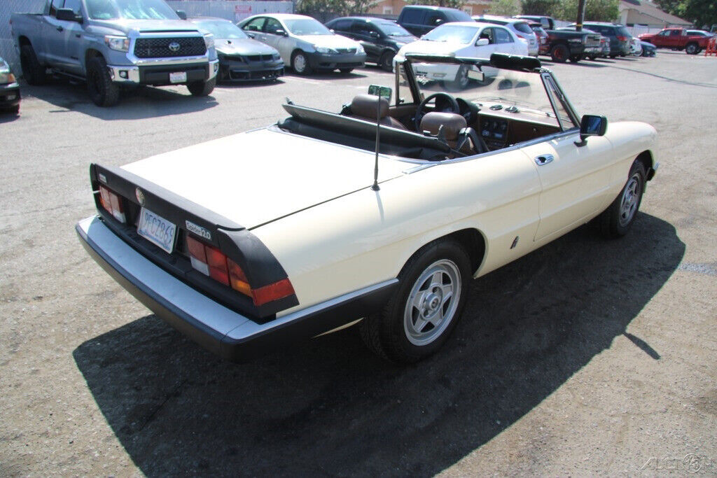 1984 Alfa Romeo Spider - photo 6