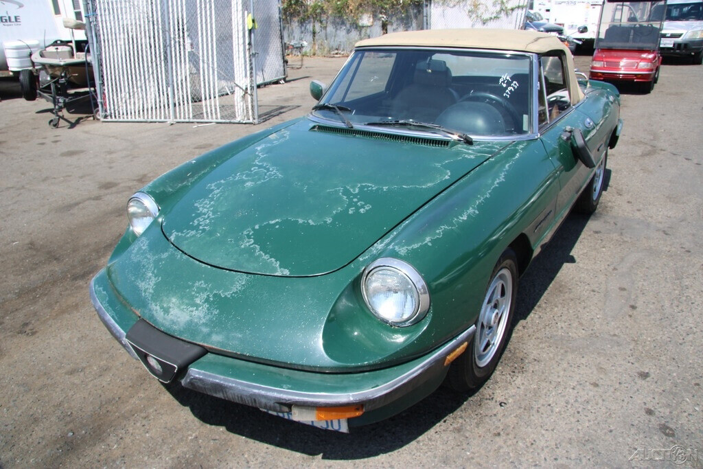 1986 Alfa Romeo Spider - photo 2