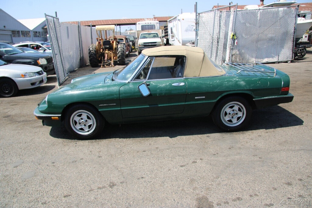 1986 Alfa Romeo Spider - photo 3
