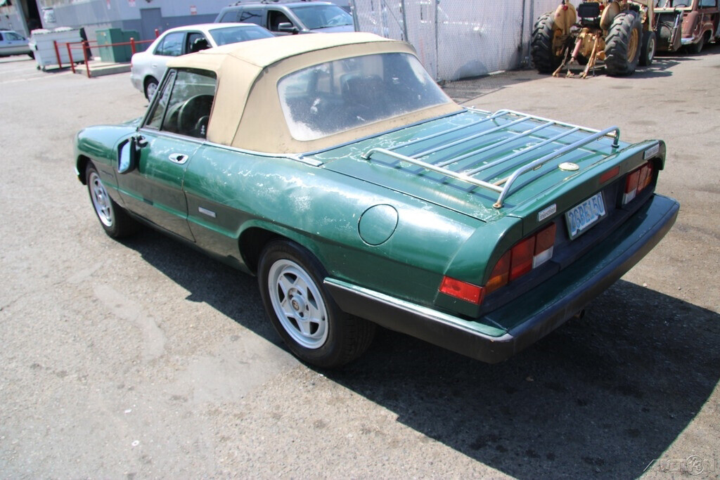 1986 Alfa Romeo Spider - photo 4
