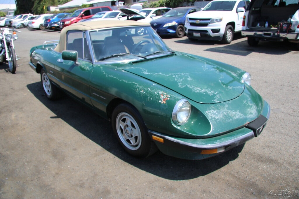 1986 Alfa Romeo Spider - photo 8