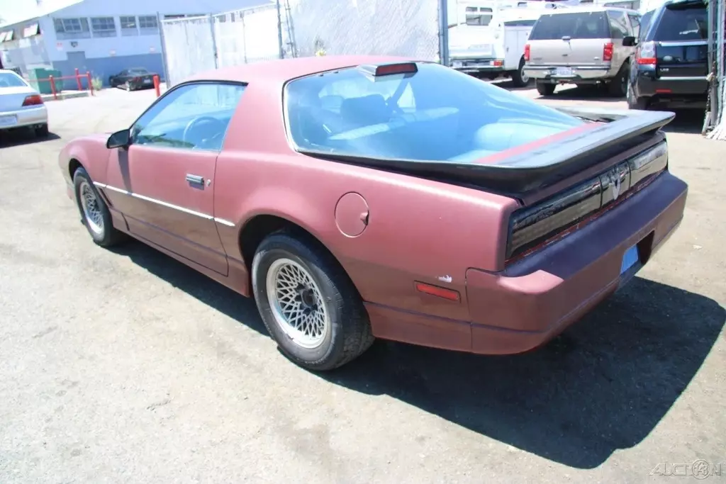 1986 Pontiac Firebird - photo 4