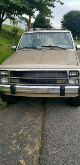 1989 Jeep Wagoneer Limited - photo 3