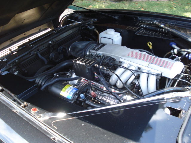 1983 Jaguar Custom XJS - photo 13