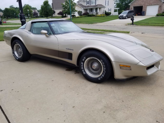 1982 Chevrolet Corvette Hatchback - photo 9