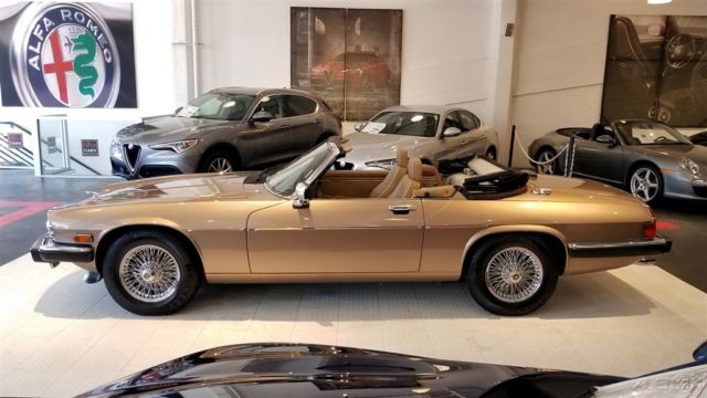 1990 Jaguar Other XJS - photo 13