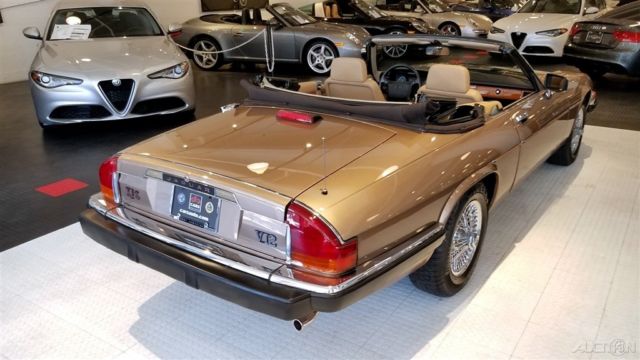 1990 Jaguar Other XJS - photo 9