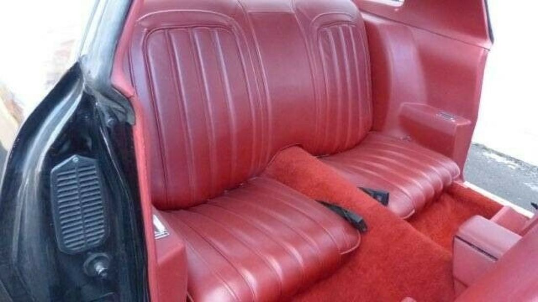 1977 Pontiac Firebird - photo 11