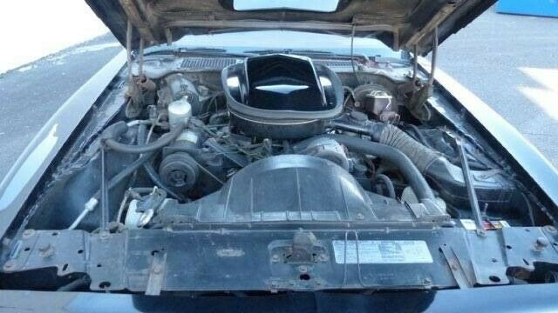1977 Pontiac Firebird - photo 4