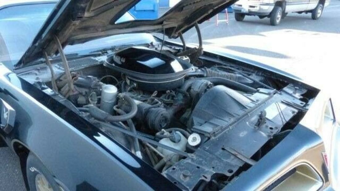 1977 Pontiac Firebird - photo 6