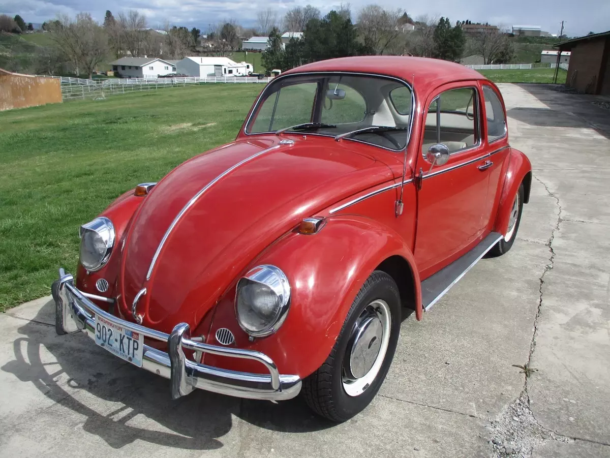 1966 Volkswagen Beetle - Classic