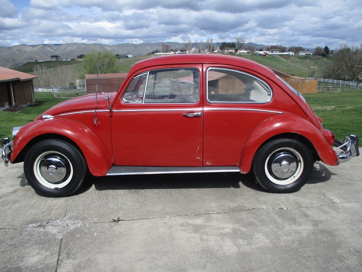 1966 Volkswagen Beetle - Classic - photo 2