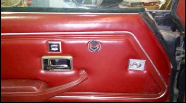 1978 Pontiac Trans Am FIREBIRD - photo 13