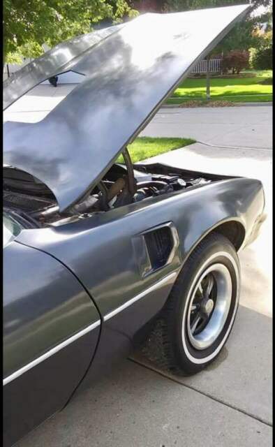 1978 Pontiac Trans Am FIREBIRD - photo 3