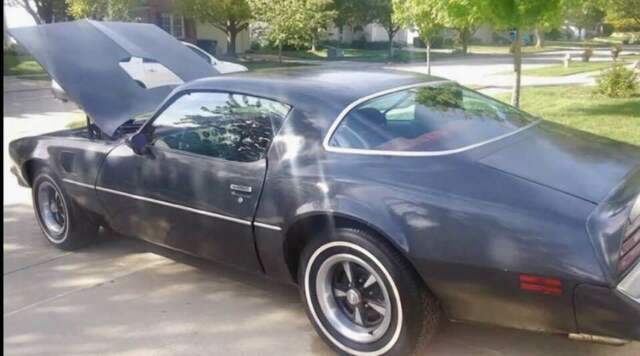 1978 Pontiac Trans Am FIREBIRD - photo 6
