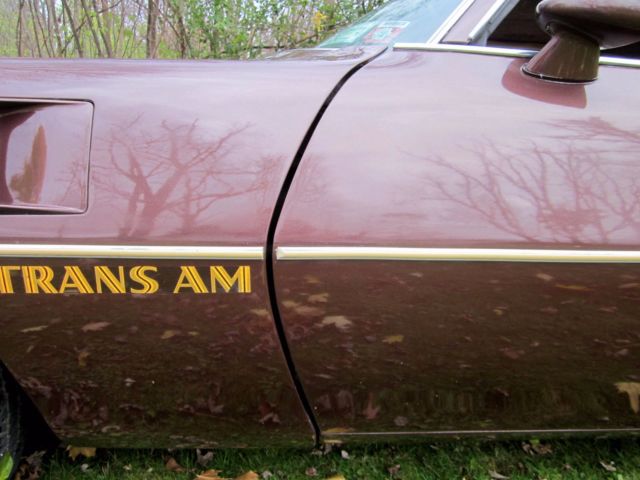 1977 Pontiac Trans Am - photo 10