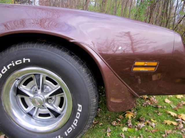 1977 Pontiac Trans Am - photo 13