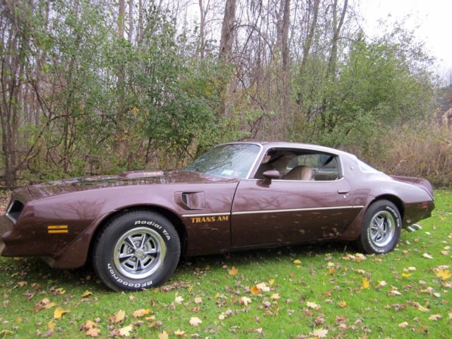 1977 Pontiac Trans Am - photo 2