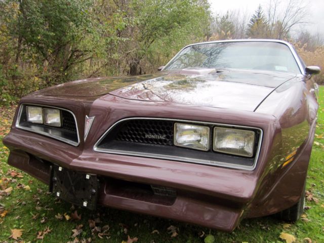 1977 Pontiac Trans Am - photo 4