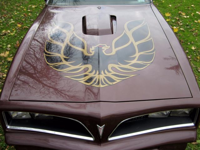 1977 Pontiac Trans Am - photo 5