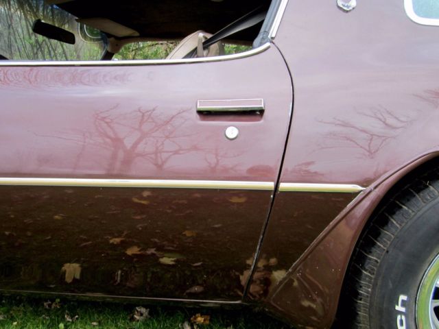 1977 Pontiac Trans Am - photo 9