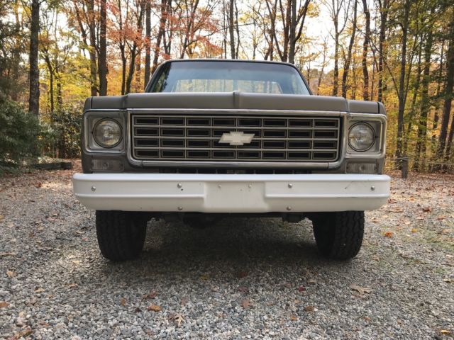 1976 Chevrolet C/K Pickup 1500 CUSTOM DELUXE - photo 7