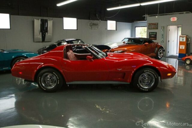1977 Chevrolet Corvette #'s Match T-Tops - photo 6