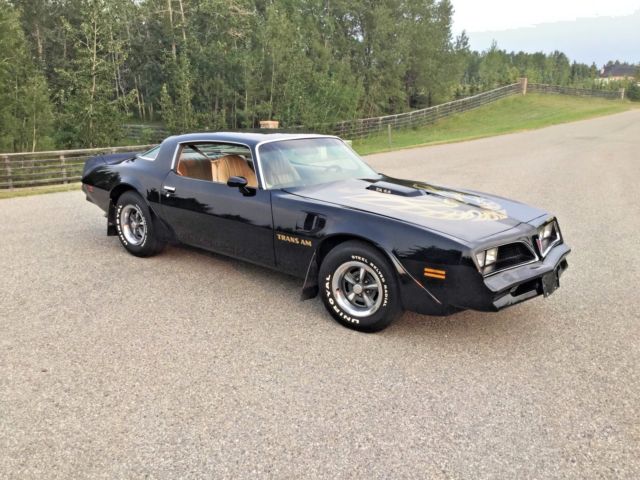 1977 Pontiac Trans Am - photo 8