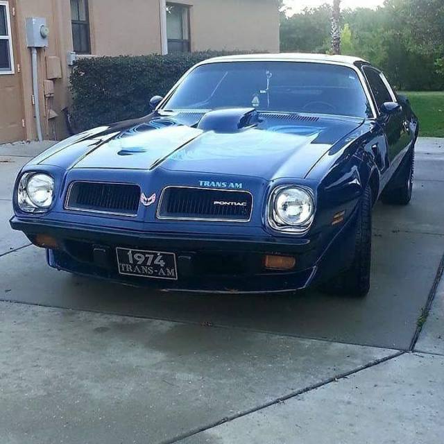 1974 Pontiac Firebird Trans Am - photo 2