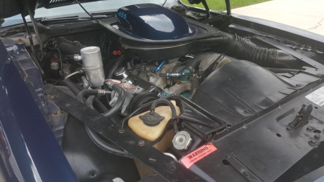 1974 Pontiac Firebird Trans Am - photo 4