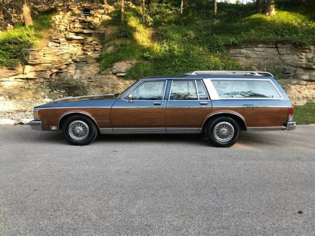 1989 Oldsmobile Custom Cruiser Base 4dr Wagon - photo 3