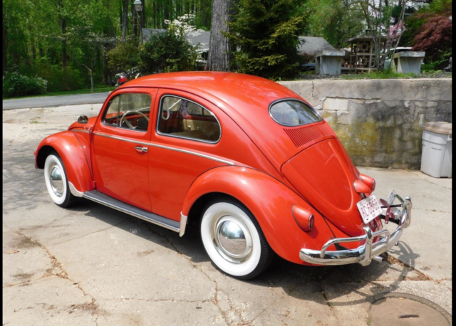 Original 1956 VW Bug Oval Window. 2-Owner 1956 Volkswagen Beetle - Classic