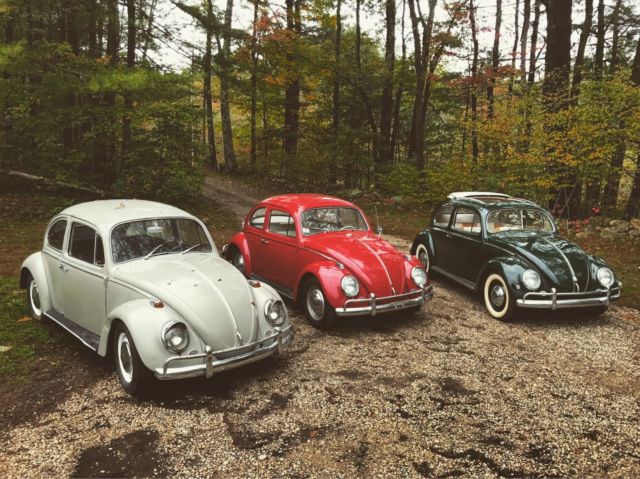 1957 Volkswagen Beetle - Classic Deluxe - photo 9