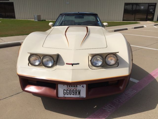 1981 Chevrolet Corvette - photo 6
