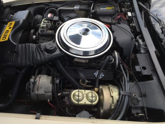 1981 Chevrolet Corvette - photo 7