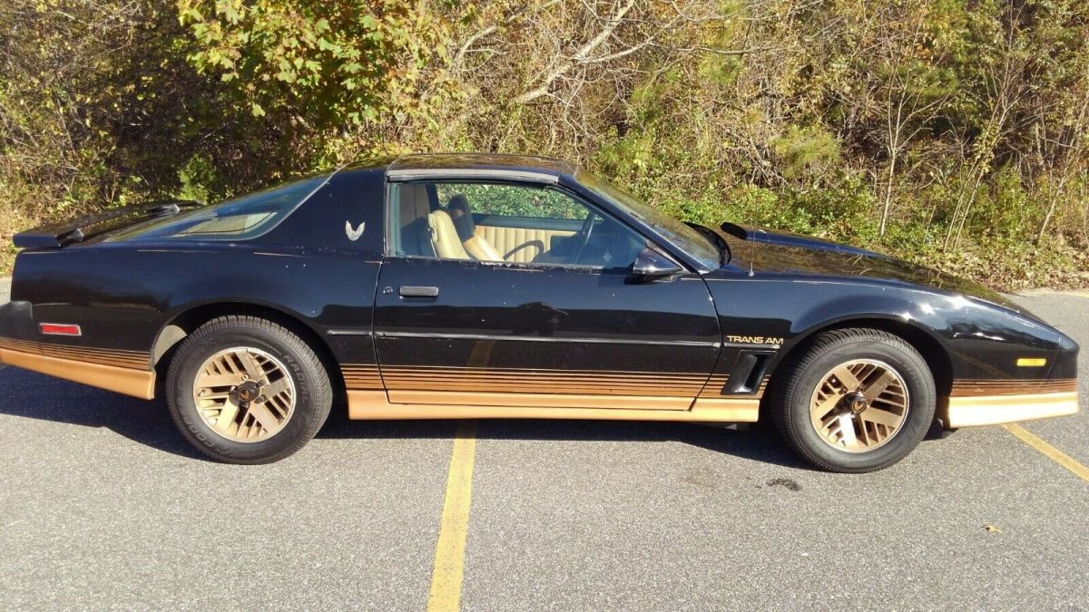 ORIGINAL GOLD EDITION TRANS AM 1984 Pontiac Trans Am GOLD EDITION