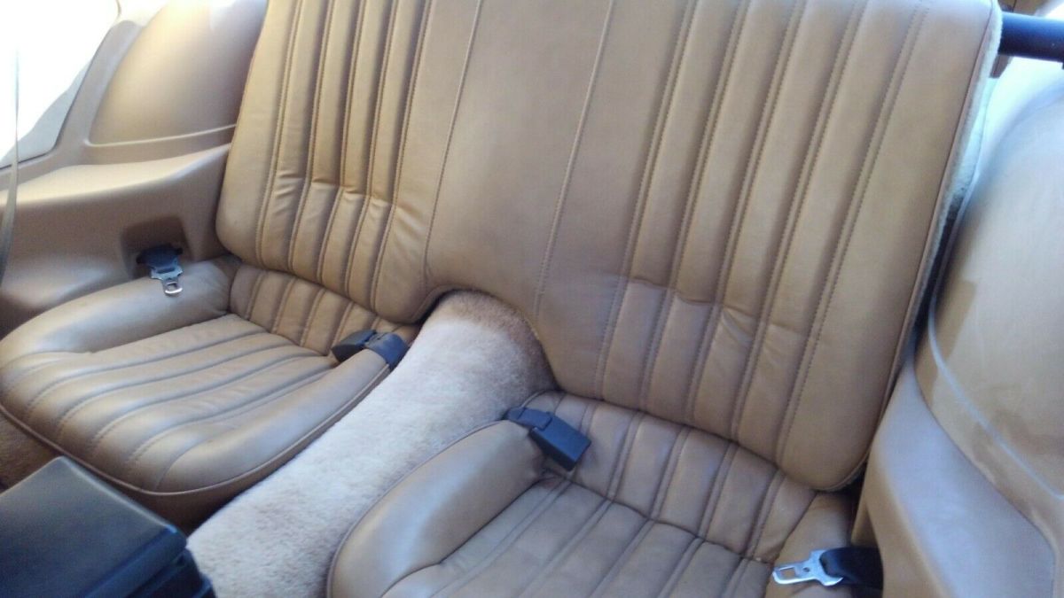 1984 Pontiac Trans Am GOLD EDITION - photo 12