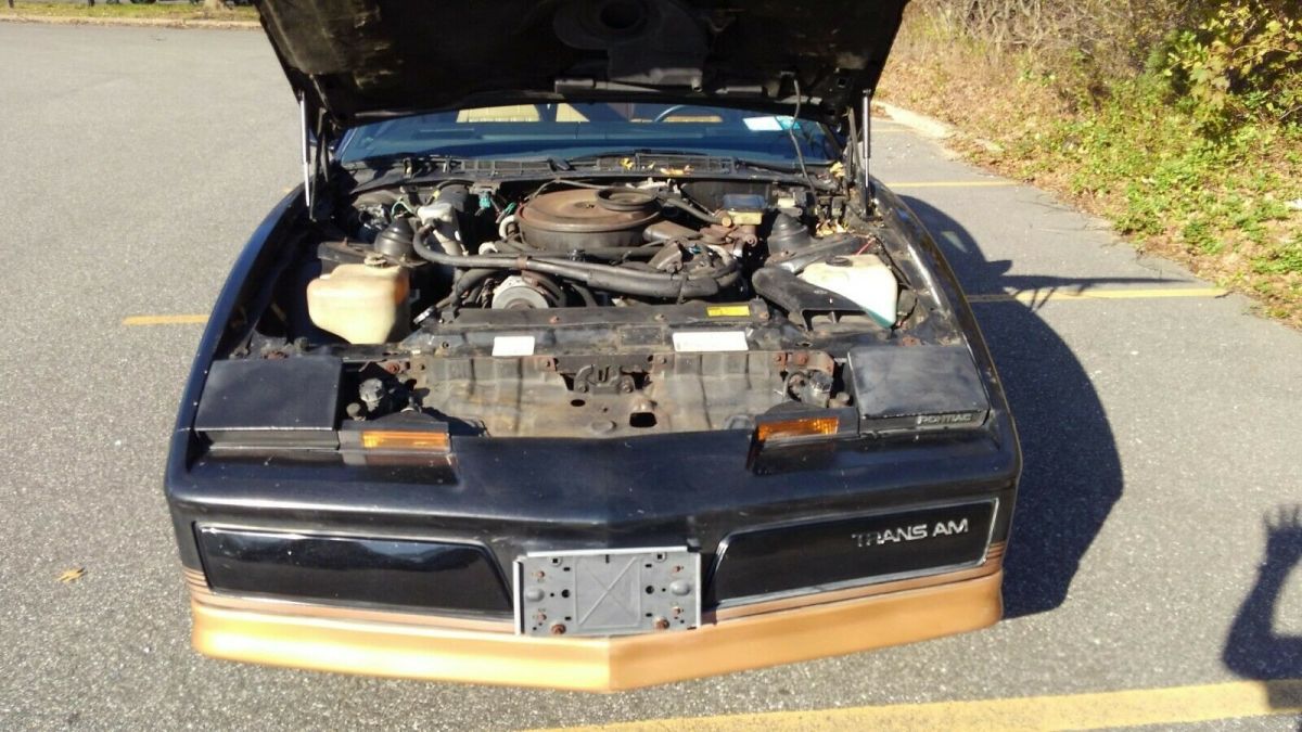 1984 Pontiac Trans Am GOLD EDITION - photo 3