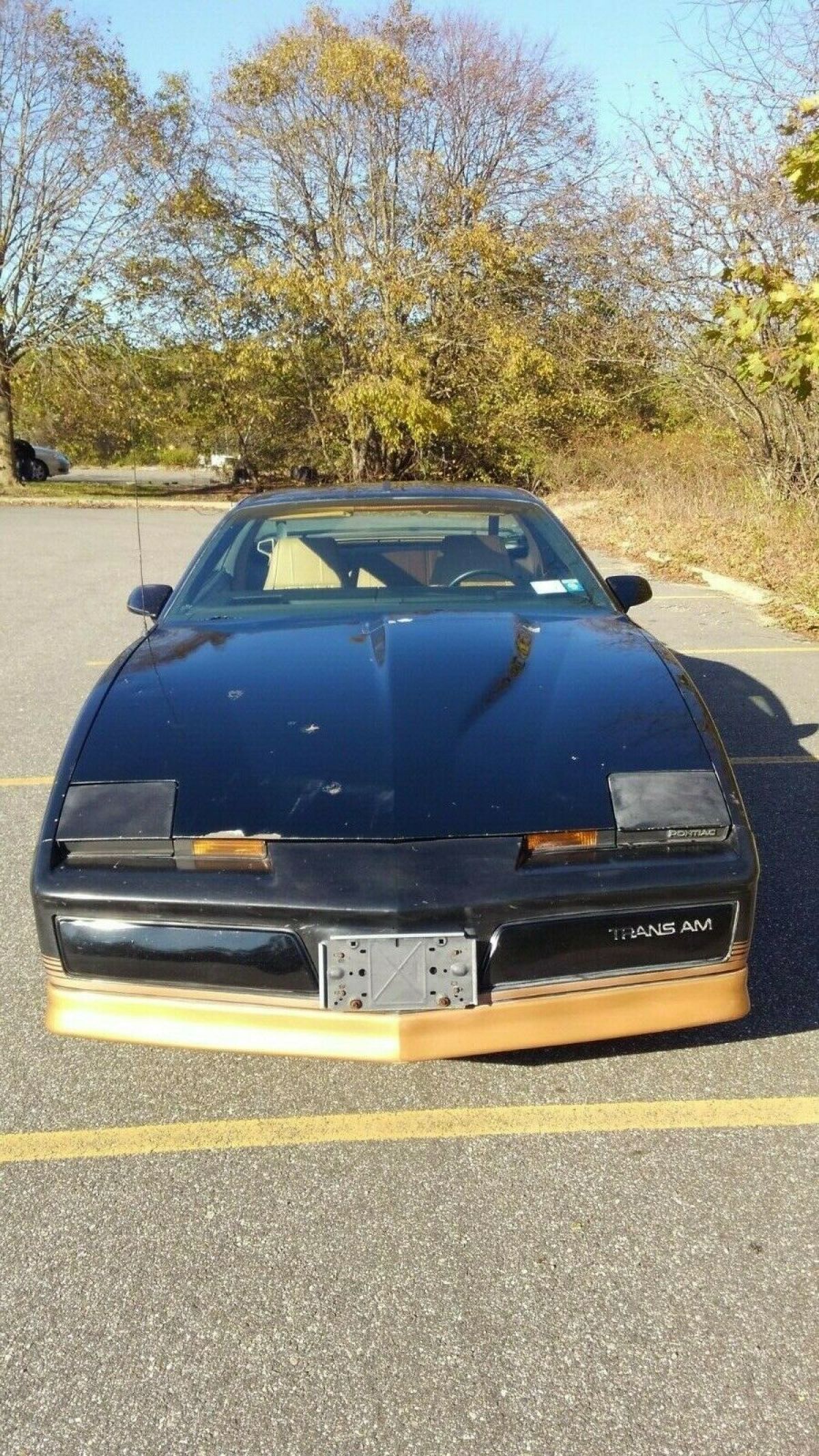 1984 Pontiac Trans Am GOLD EDITION - photo 4