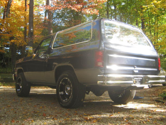 1988 Dodge Ramcharger Base - photo 10