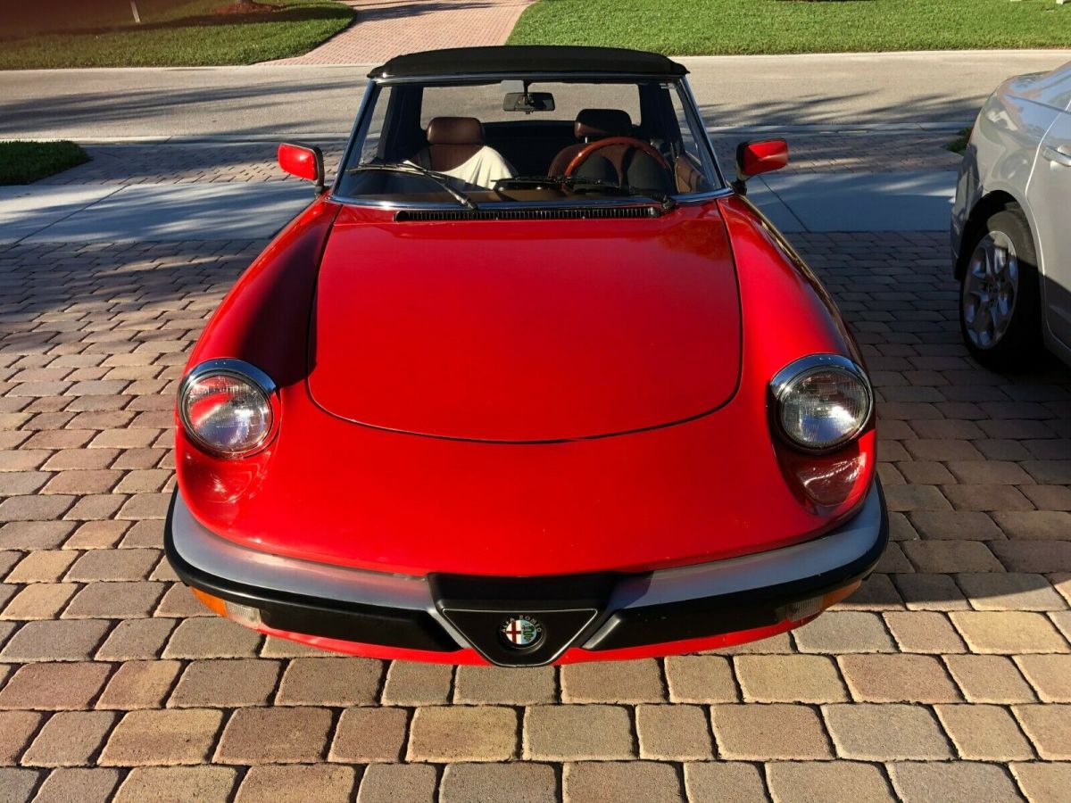 1984 Alfa Romeo Spider Veloce - photo 11